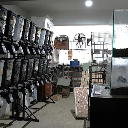 Operação ‘Animal Não é Produto’ apreende mais de 300 animais em oito dias em Volta Redonda